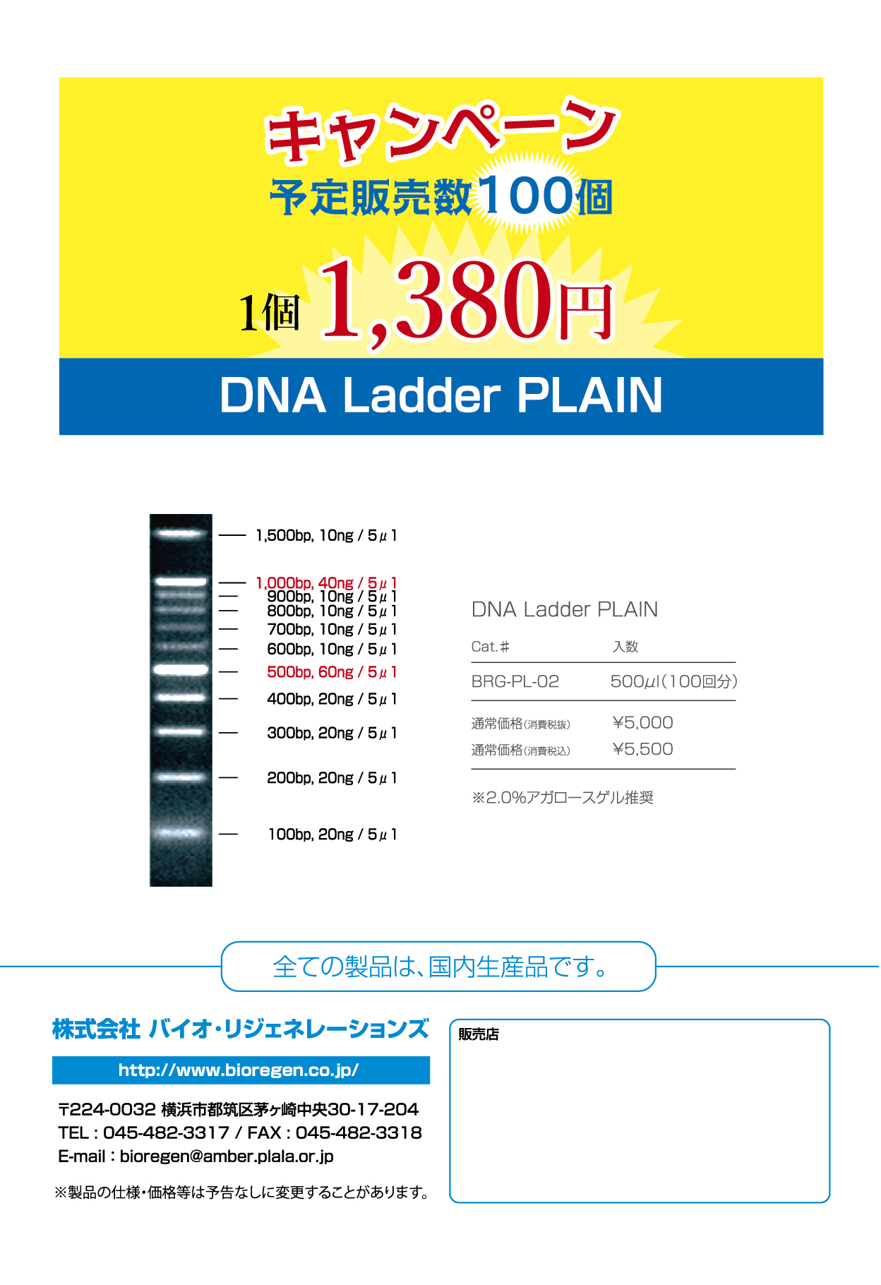 DNAラダー
